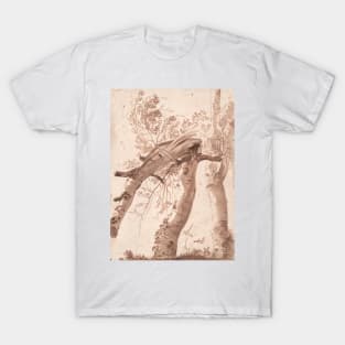 Two Silver Birches, the Front One Fallen by Nicolas Poussin T-Shirt